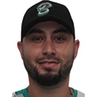 Yulman Ribeiro