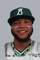 Dennicher Carrasco