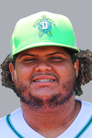 Wilfred Astudillo