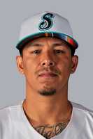 Braulio Torres-Perez