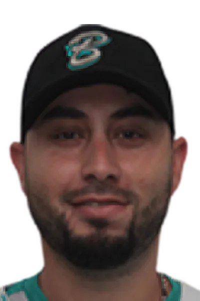 Yulman Ribeiro