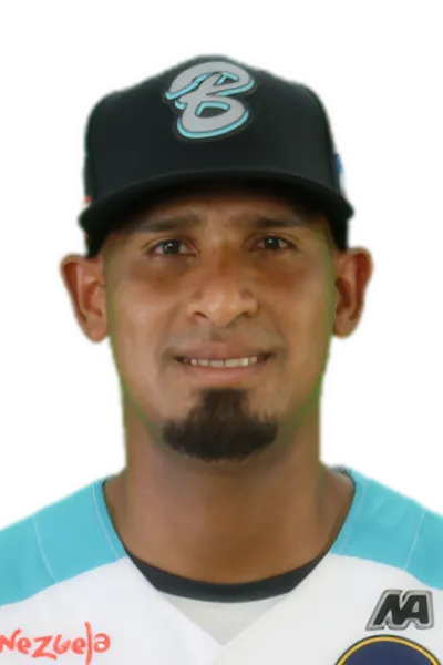 Werner Leal